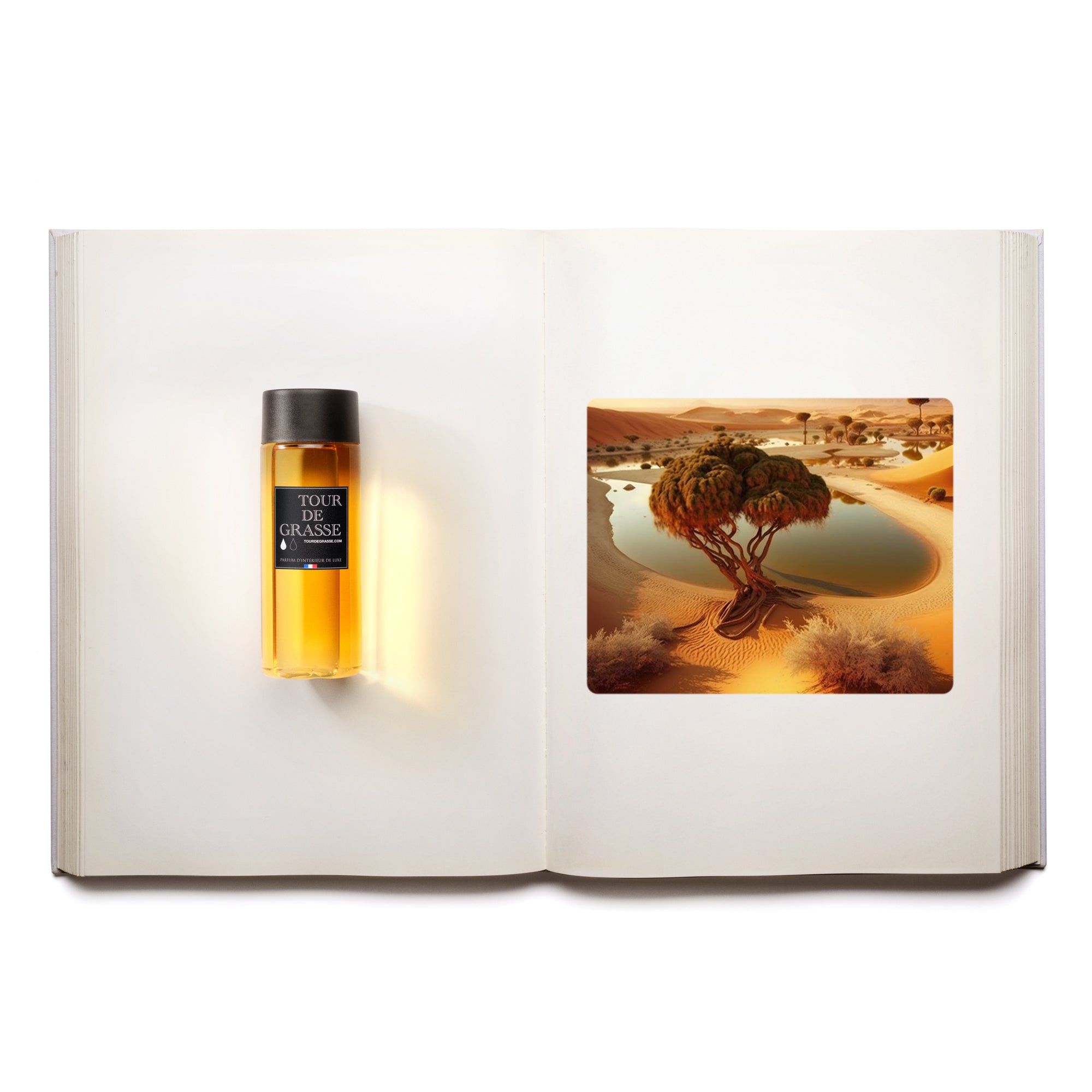 Recharge pour diffuseur de parfum Palais de Carthage