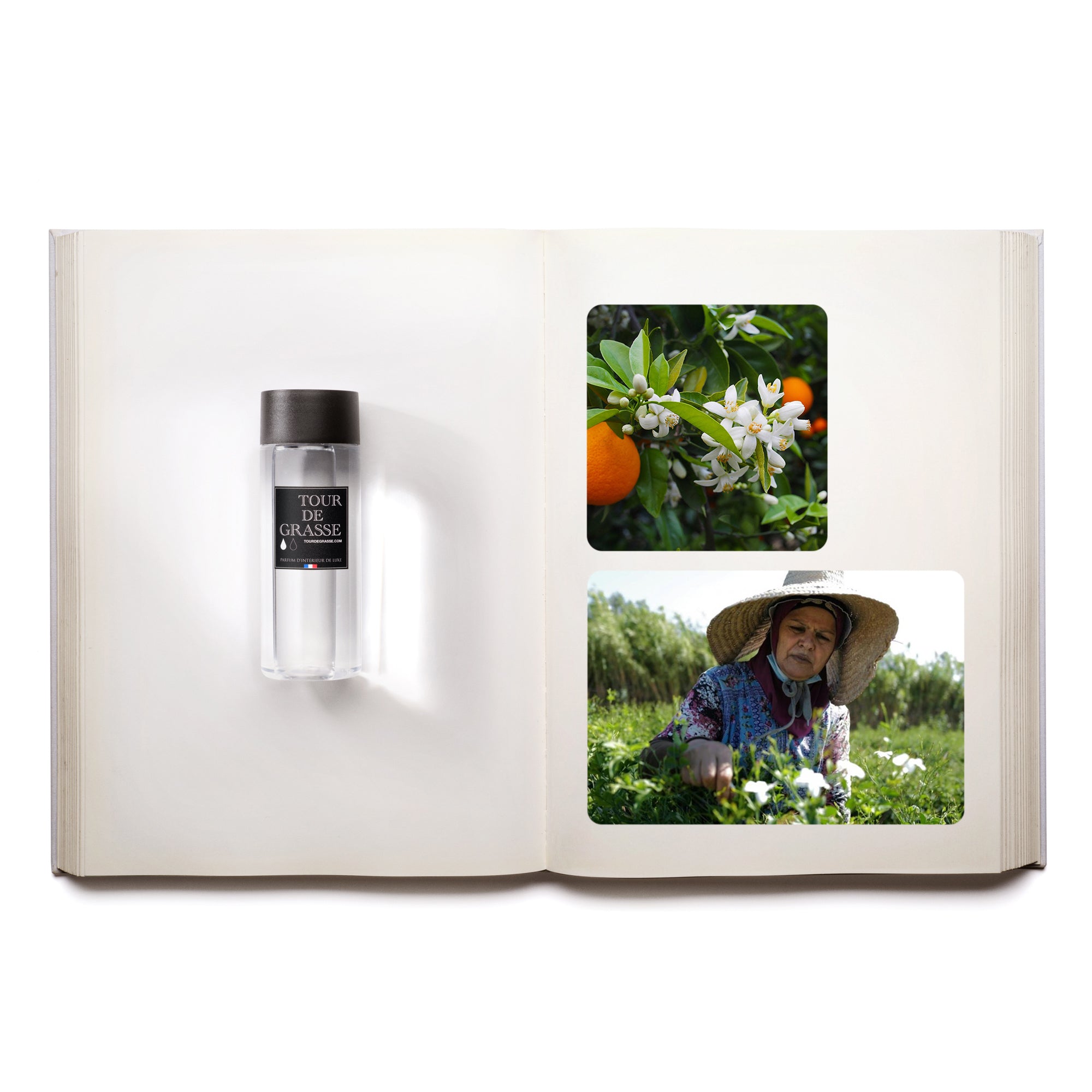 Recharge pour diffuseur de parfum Les oranges de Gueliz