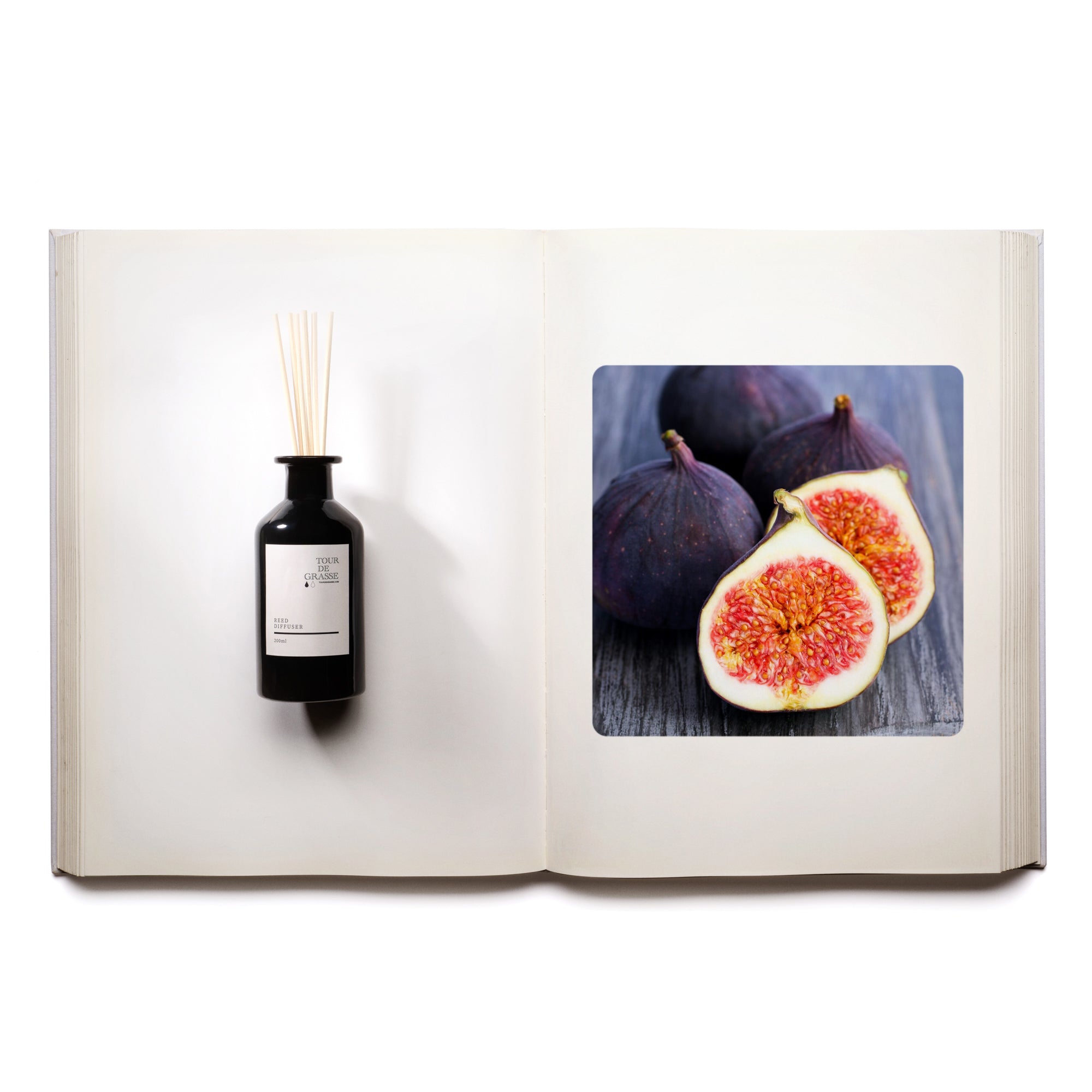 Colette's Fig