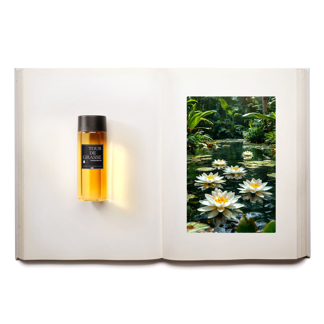 Larme de Lotus