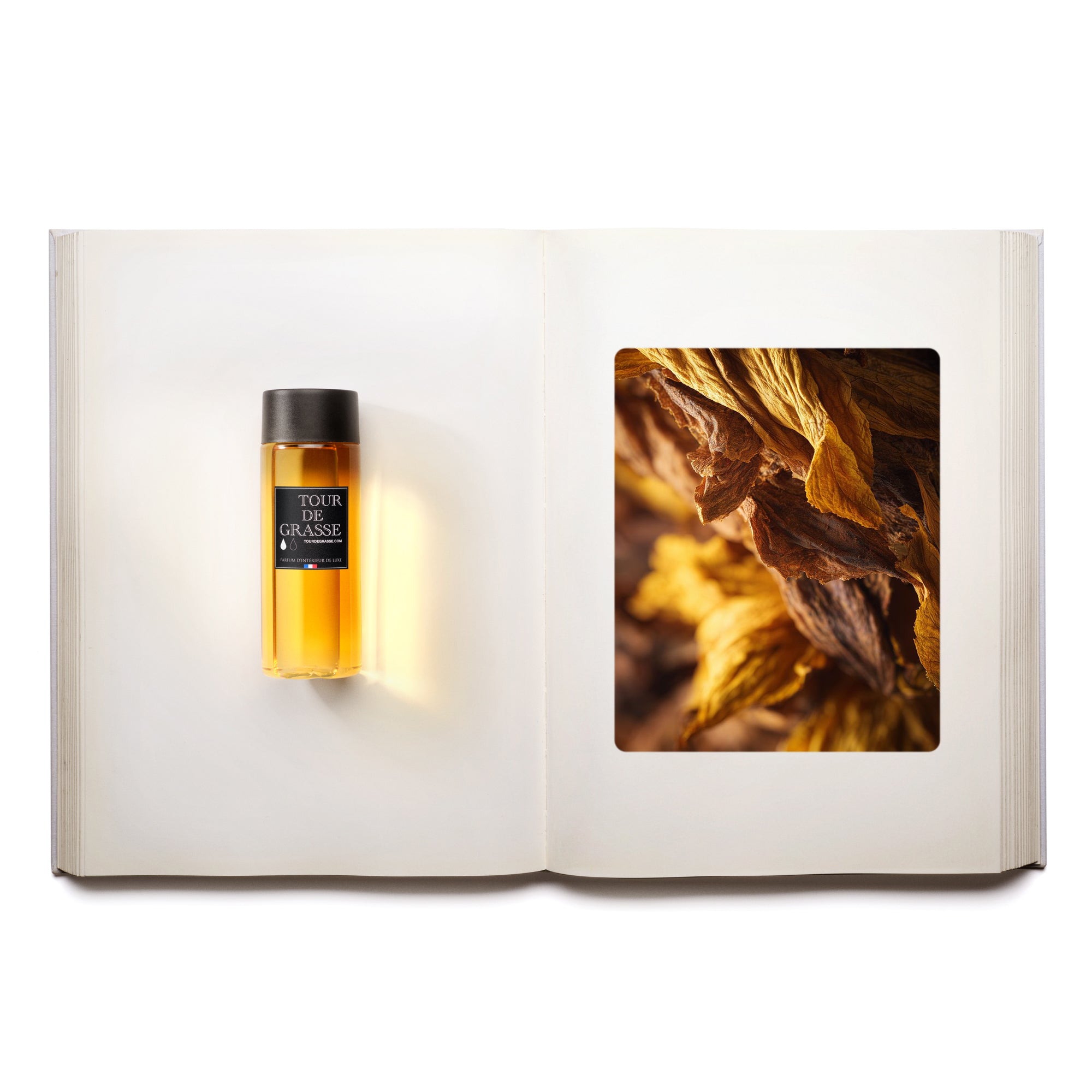 Oud Tropical